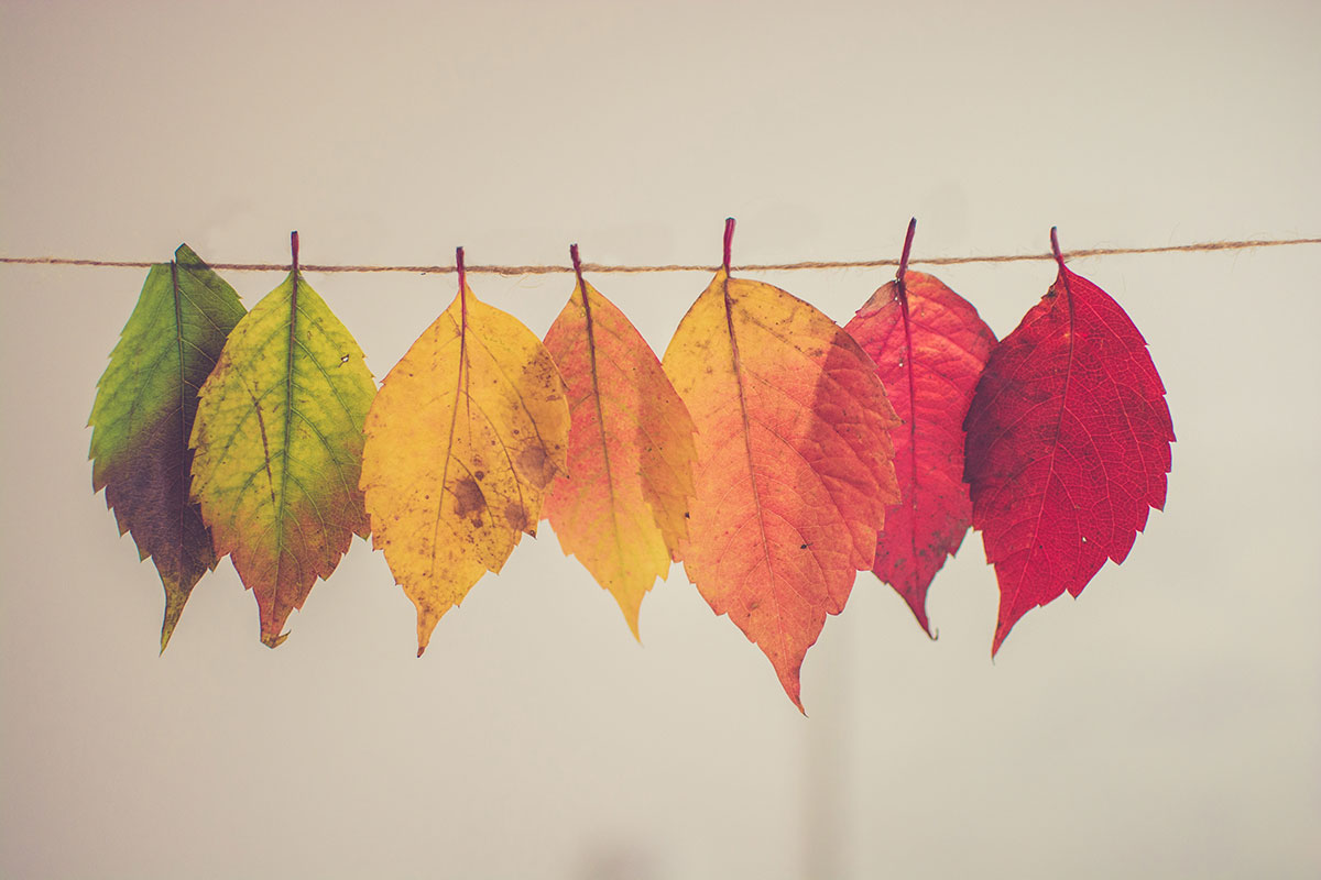 8 razones para casarte en otoño 8 razones para casarte en otoño