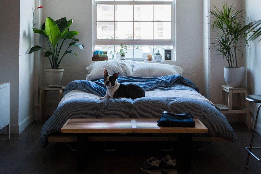 6 consejos de interiorismo para decorar tu nuevo hogar