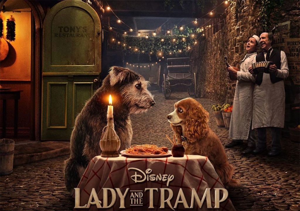 Él es Monte, de perro callejero a estrella de La Dama y el Vagabundo