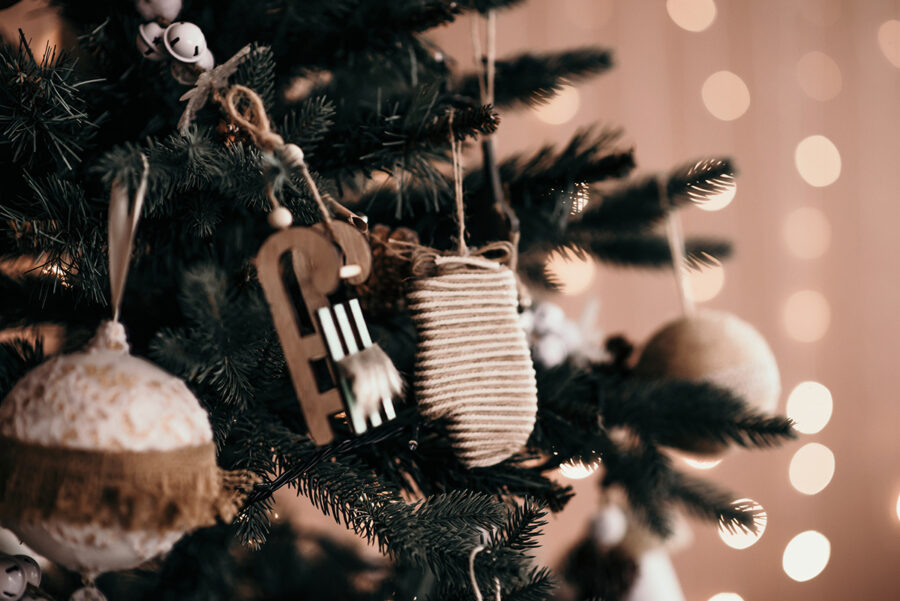 10 ideas para una Navidad ecológica y sustentable
