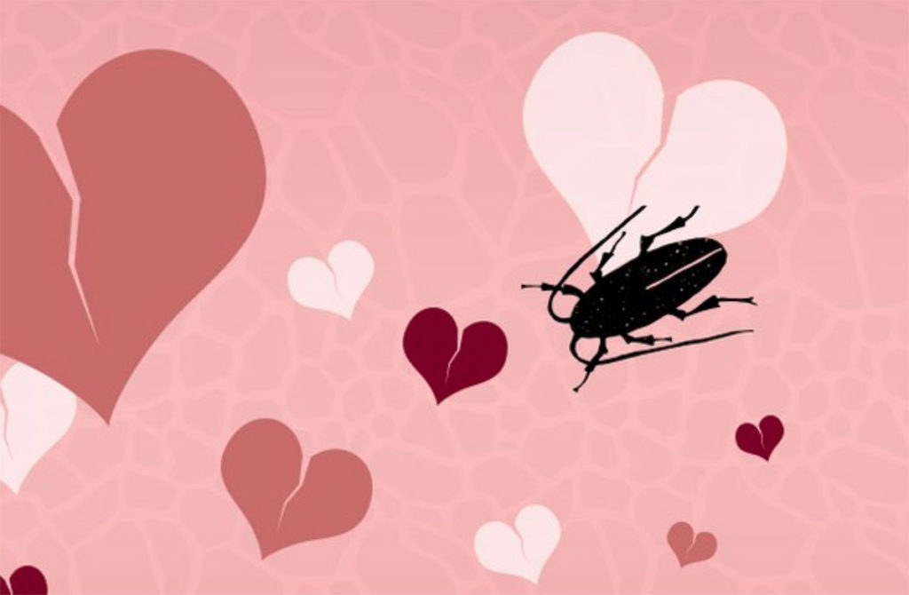 Bautiza a una cucaracha con el nombre de tu ex y dásela de comer a una serpiente en San Valentín
