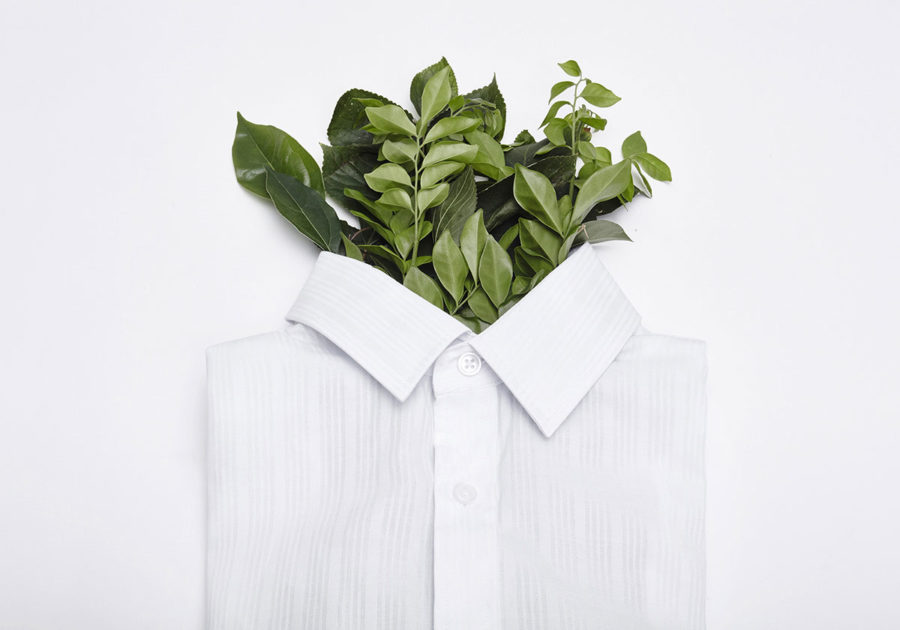 Vestir vegano es posible y te decimos cómo