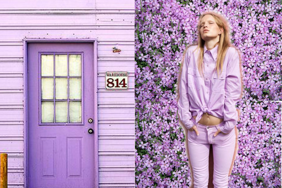 Jacaranda, el color que será tendencia en el 2021