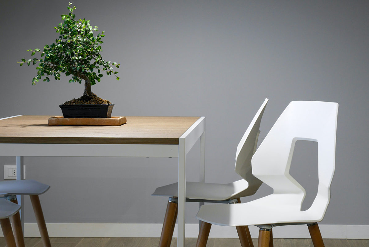 4 ideas prácticas para tener un hogar más verde