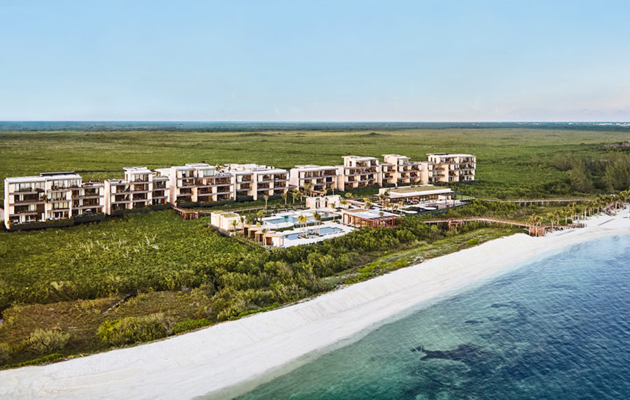 Etéreo, el paraíso que flota sobre un bosque de manglares