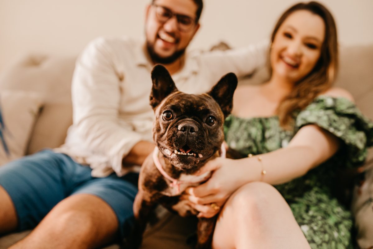Boda con perros ¿cómo llevarla a cabo y no morir en el intento? Boda con perros ¿cómo llevarla a cabo y no morir en el intento?
