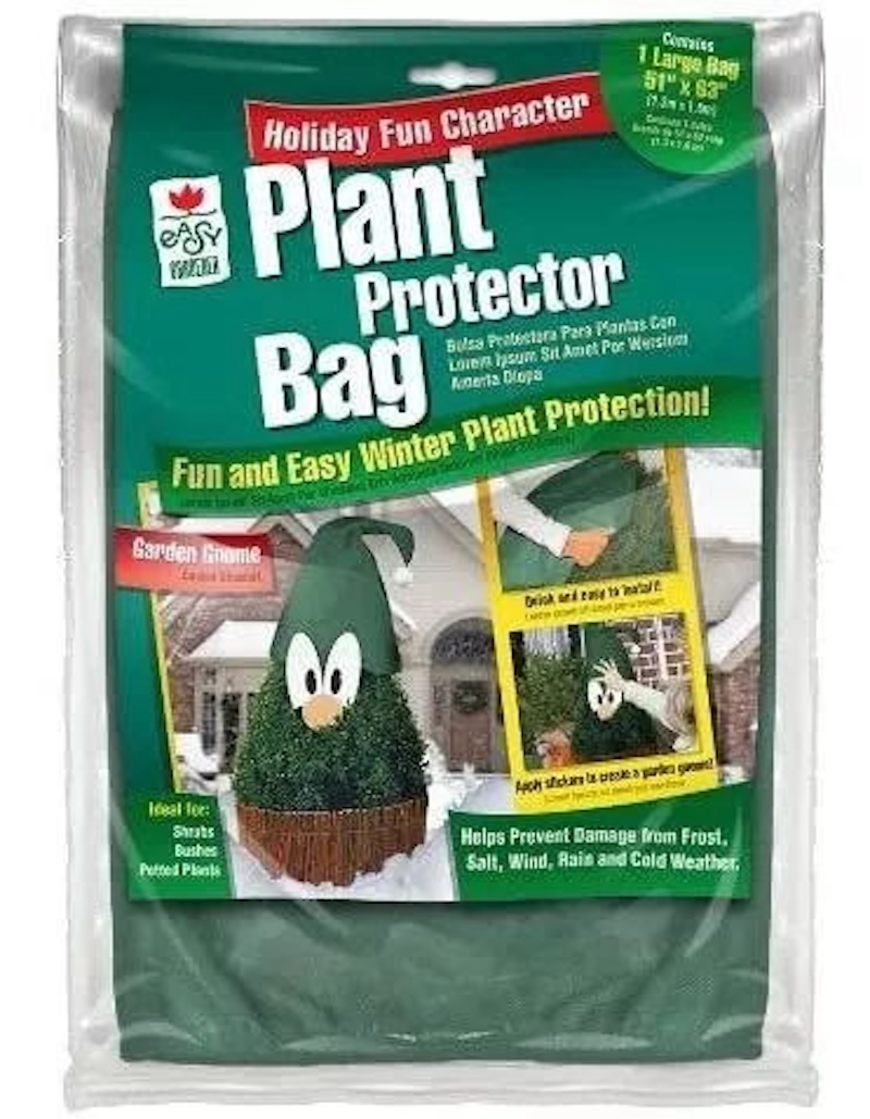 como cuidar mis plantas de la lluvia