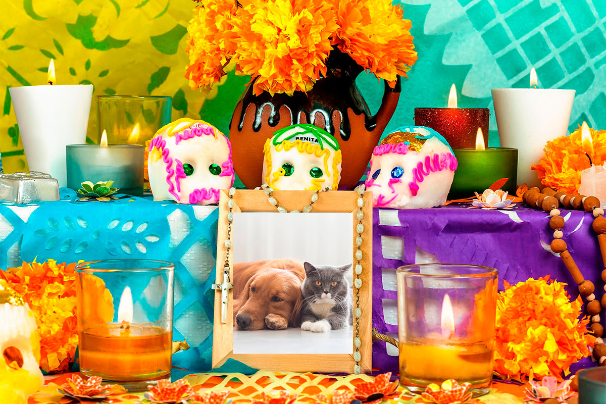 Cómo hacer un altar de muertos para mascotas Cómo hacer un altar de muertos para mascotas