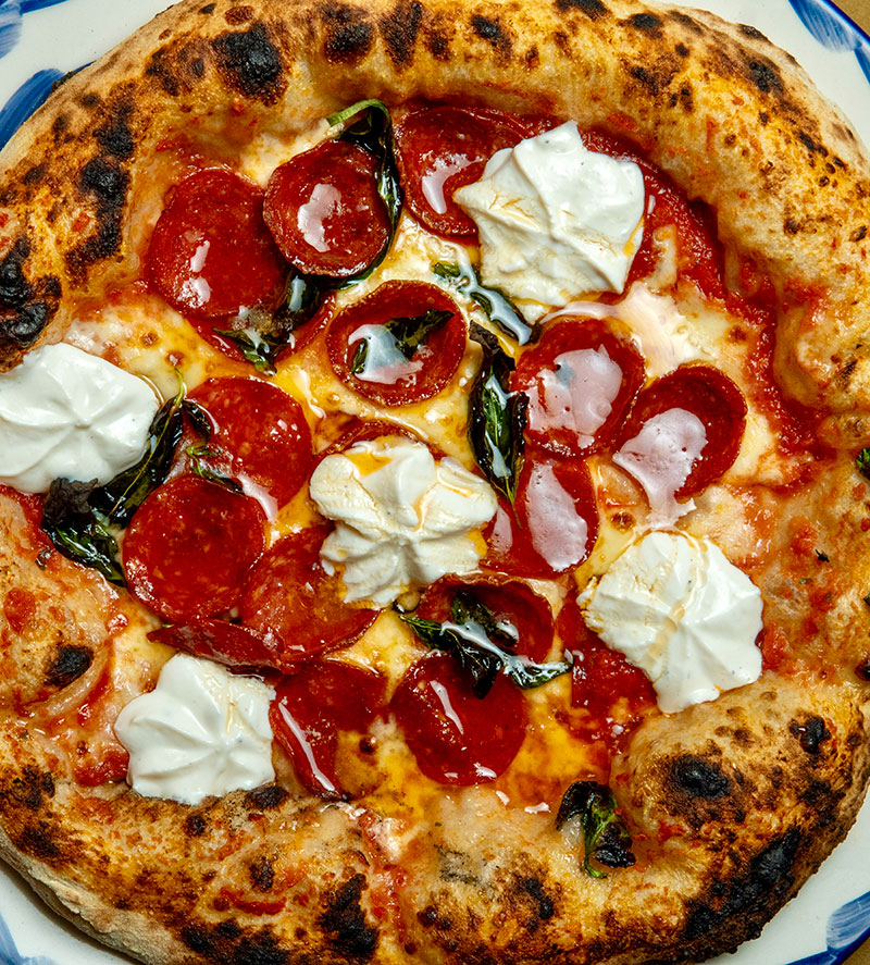 Dolce Arrabiata mammut