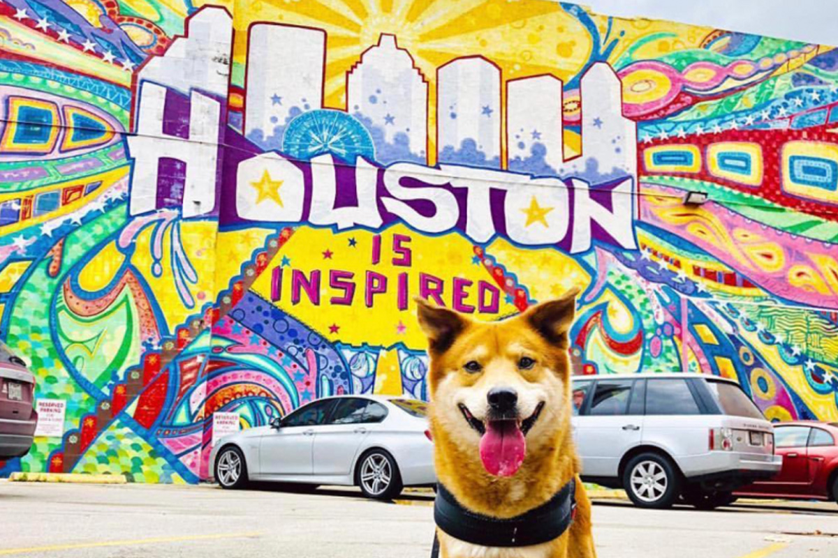 Viaja a Houston con tu mascota, guía para unas vacaciones pet-friendly inolvidables Viaja a Houston con tu mascota, guía para unas vacaciones pet-friendly inolvidables