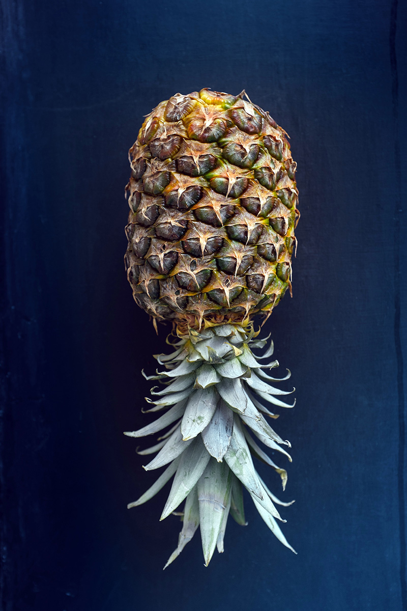 pina invertida swinger